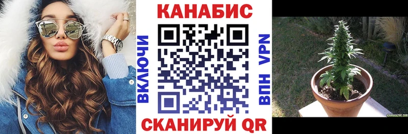 Конопля семена  Костерёво 